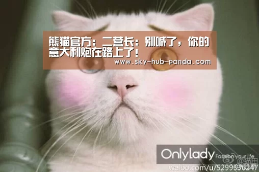 熊猫官方:二营长:别喊了,你的意大利炮在路上了!(图4) 熊猫体育