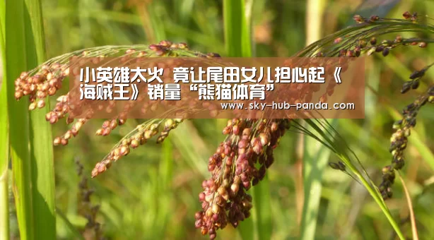 小英雄太火 竟让尾田女儿担心起《海贼王》销量“熊猫体育”(图4) 熊猫体育