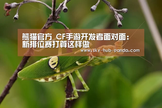 熊猫官方_CF手游开发者面对面:新排位赛打算这样做(图2) 熊猫体育官网