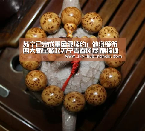 熊猫体育