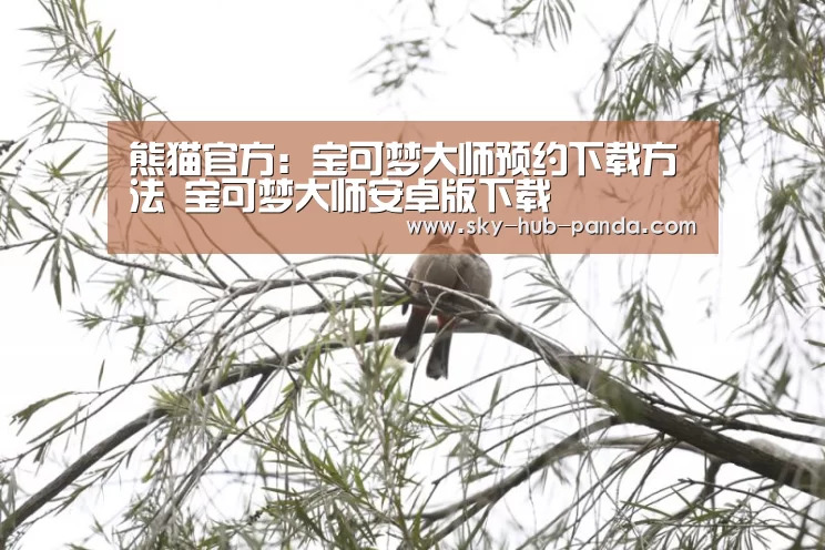 熊猫体育平台