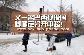 熊猫体育